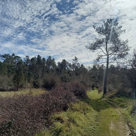 Сasa de vacaciones Casa Da Póvoa Povoa de Gois