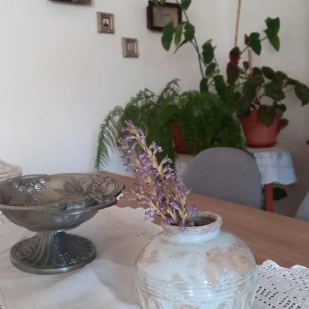 Ferienhaus Casa Da Povoa