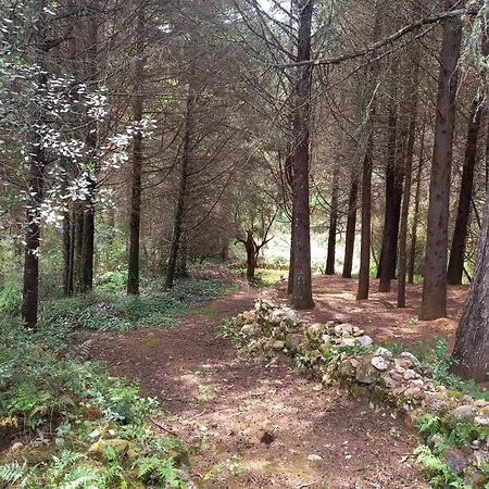 Сasa de vacaciones Casa Da Póvoa Povoa de Gois