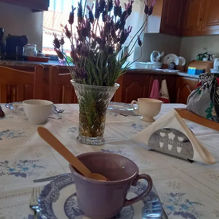 Casa Da Póvoa Сasa de vacaciones