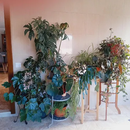 Сasa de vacaciones Casa Da Póvoa