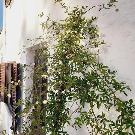 Casa Da Póvoa Сasa de vacaciones