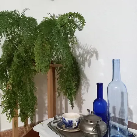 Casa Da Povoa Povoa de Gois