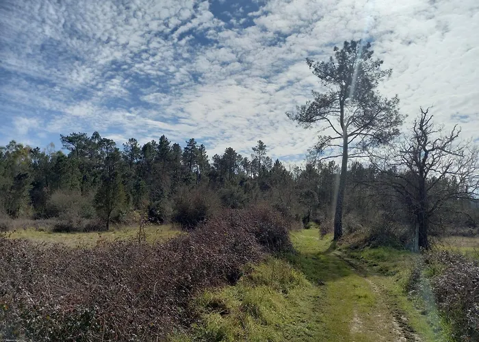 بيت للعطل Casa Da Povoa Povoa de Gois