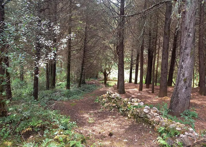 بيت للعطل Casa Da Povoa Povoa de Gois