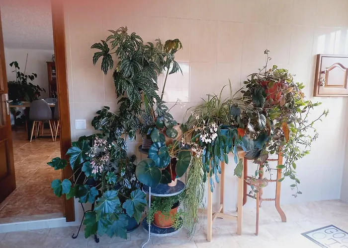 بيت للعطل Casa Da Povoa