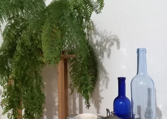 Casa Da Povoa Povoa de Gois