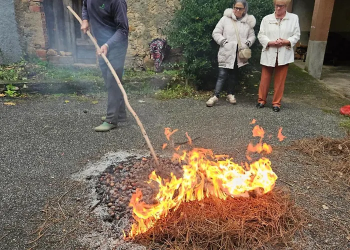 بيت للعطل Casa Da Povoa *